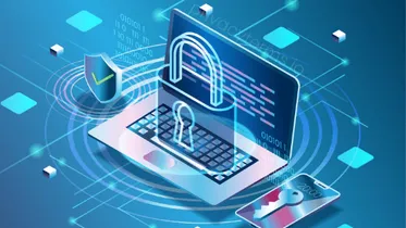 Do I Need a Privacy Policy if I Don't Collect Personal Information?