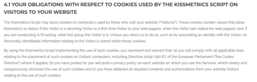 Kissmetrics terms