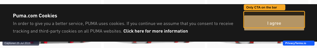 Puma's bottom cookie bar with a single dominant accept button
